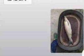 杂多如果欠债的人消失了怎么查找，专业讨债公司的找人方法